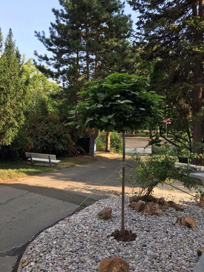Mva House Teplice, Sanovsky Park 아파트 호텔 외부 사진